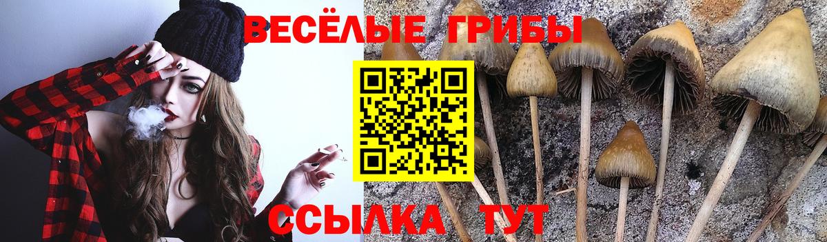Галлюциногенные грибы Magic Shrooms  Псилоцибиновые грибы Psilocybe  Борисоглебск  Вход с VPN 